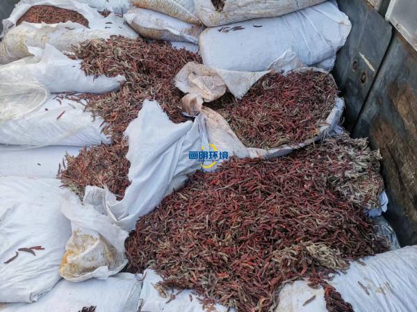 案例|某公司海關(guān)產(chǎn)品銷毀 案例|某公司海關(guān)產(chǎn)品銷毀